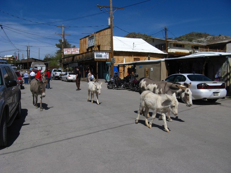 Oatman