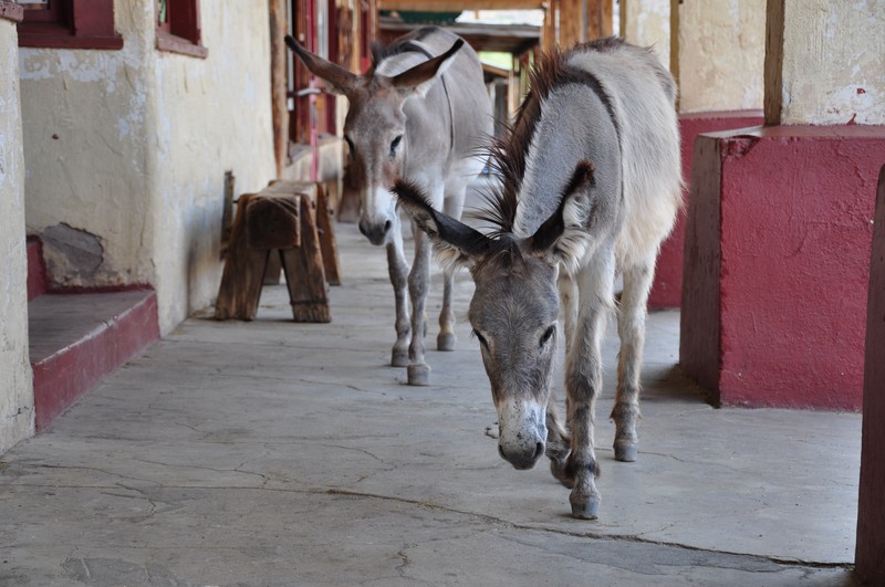 Oatman