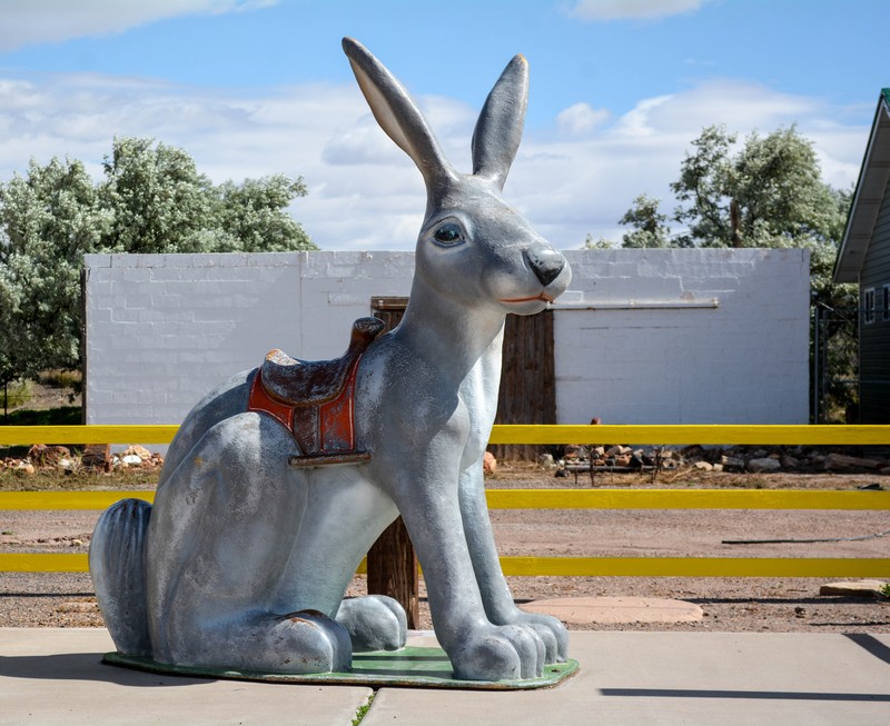 Jack Rabbit Trading Post