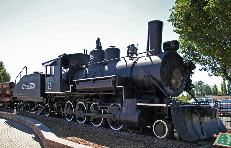 Old Two Spot Logging Train