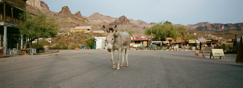 Oatman