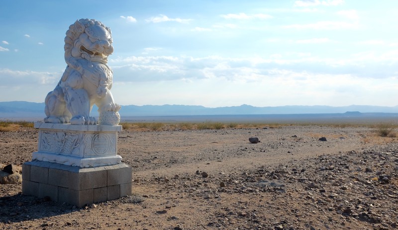 Amboy's Lion