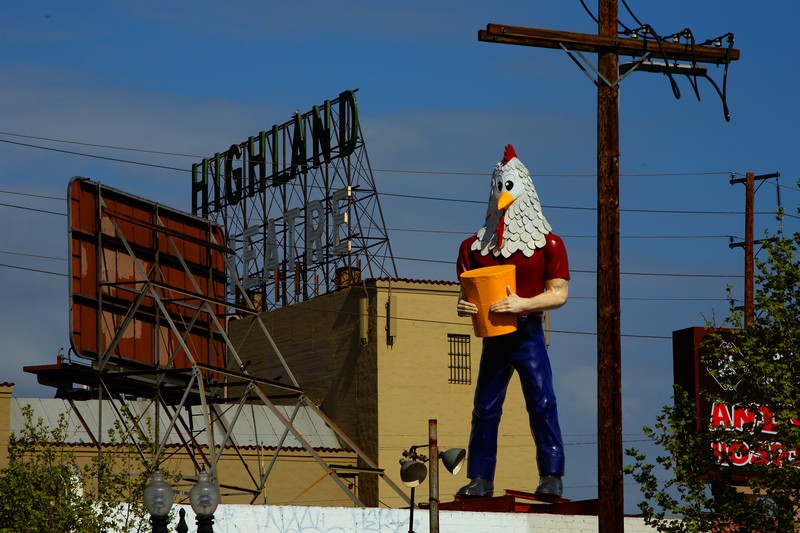 Chicken Boy