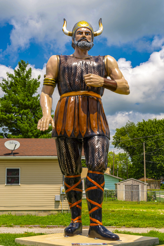 Carpet Viking
