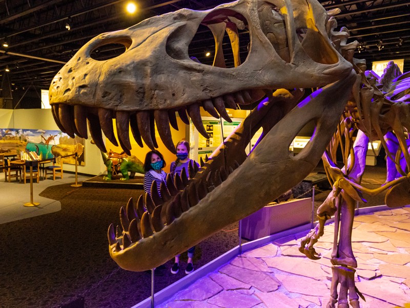 Mesalands Dinosaur Museum