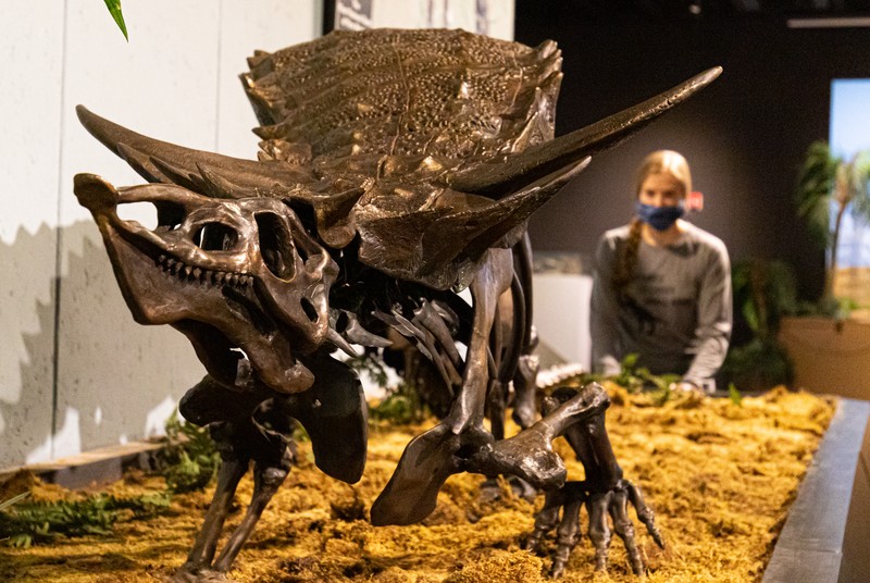 Mesalands Dinosaur Museum