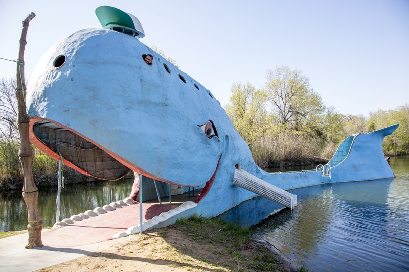 Blue Whale