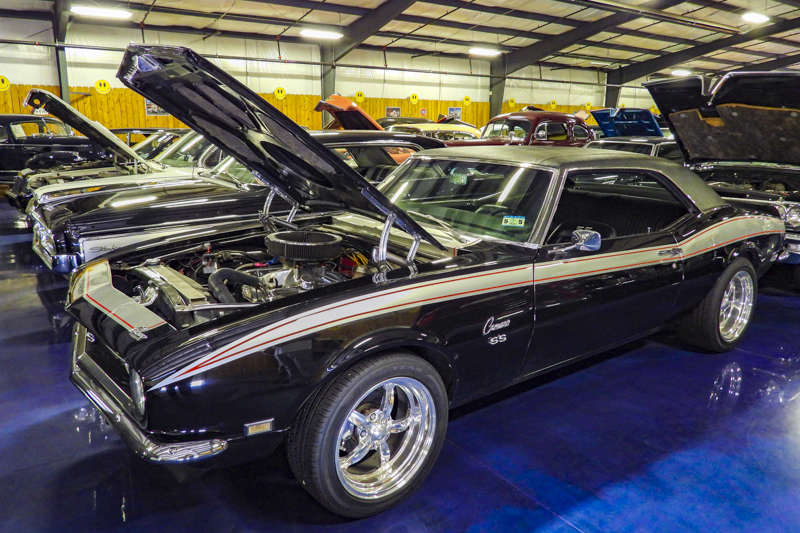 Bill's Backyard Classics