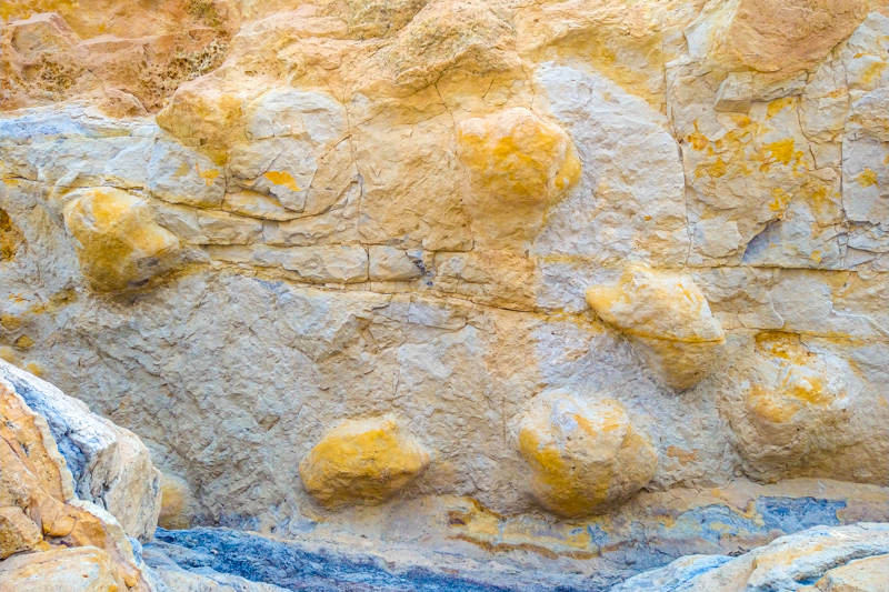 Empreintes de dinosaures
