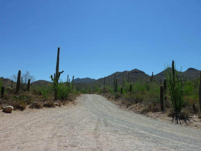 Scenic Bajada Loop Drive