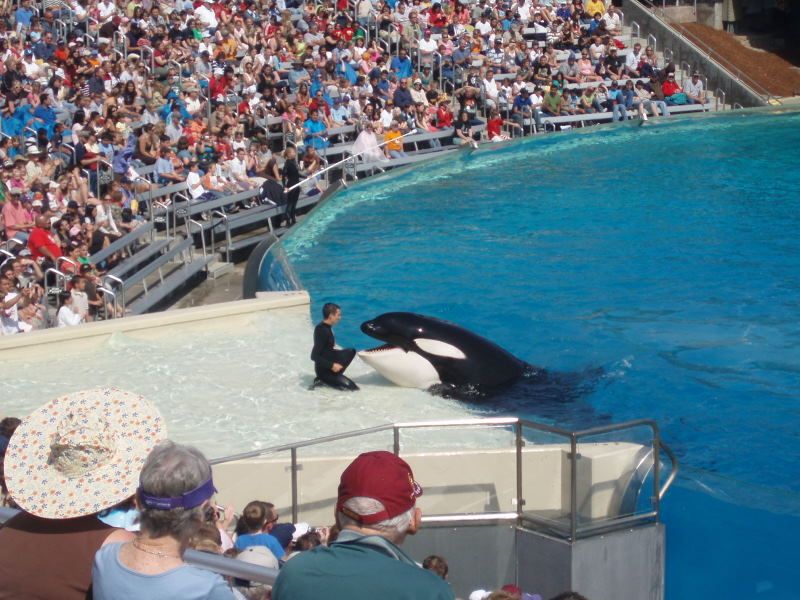Sea World