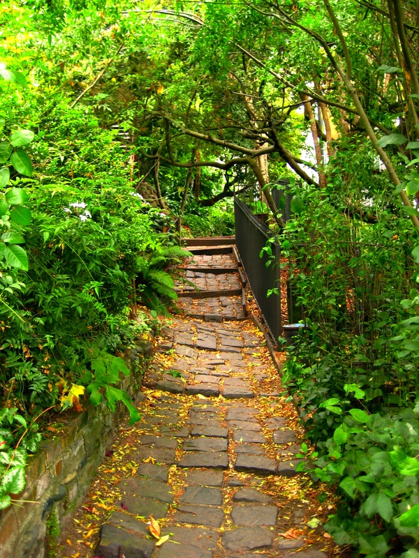 Macondray Lane