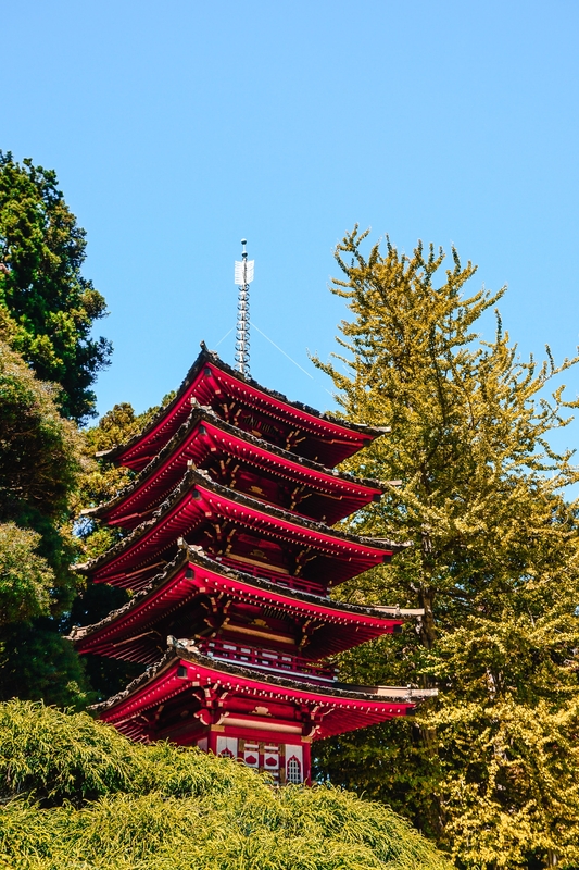 Japanese Tea Garden