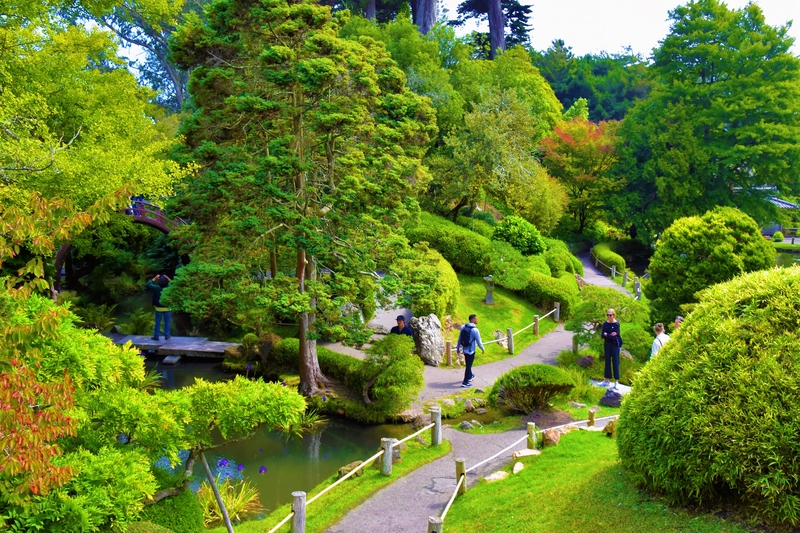 Japanese Tea Garden