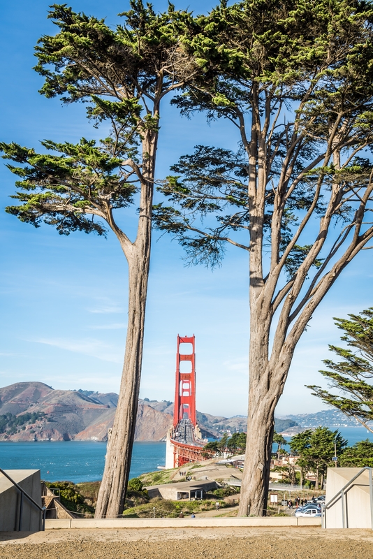 Golden Gate Bridge, vu de Golden Gate Overlook