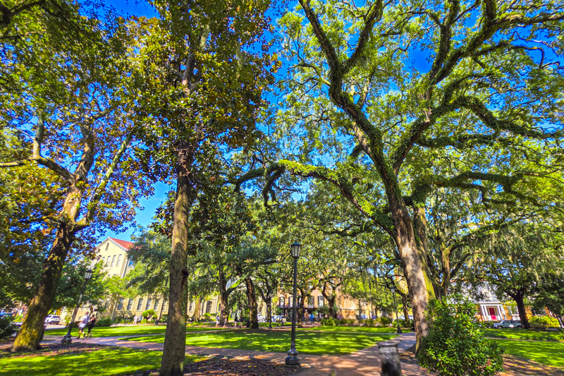 Oglethorpe Square