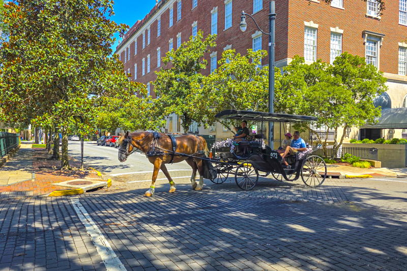 Tour en cal&egrave;che