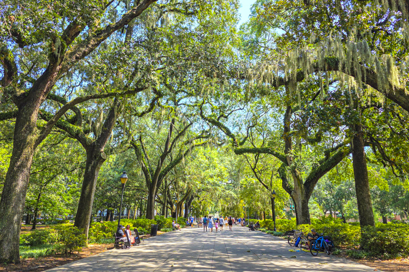 Forsyth Park