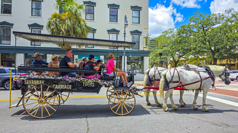 Tour en cal&egrave;che