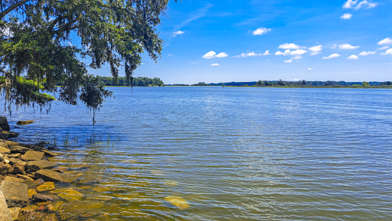 Bonaventure Cemetery