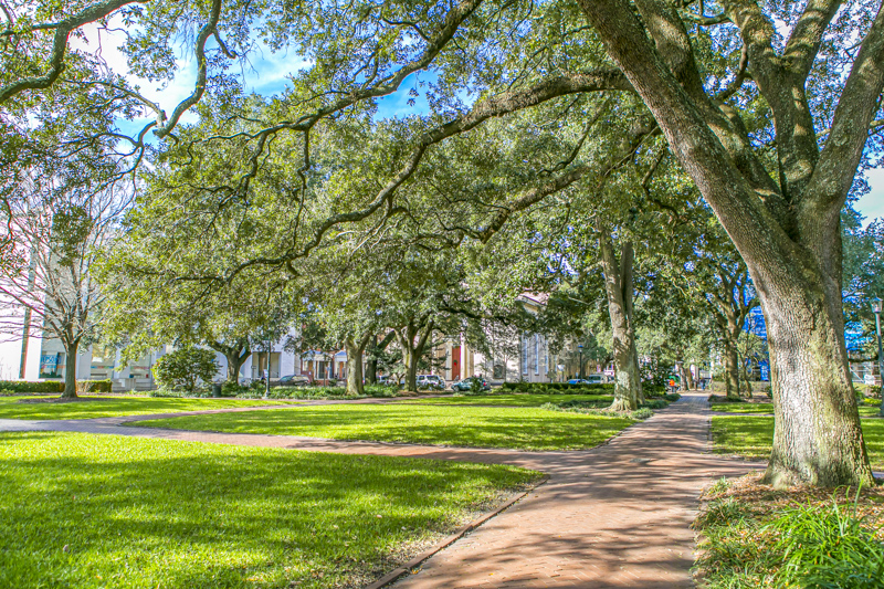 Telfair Square