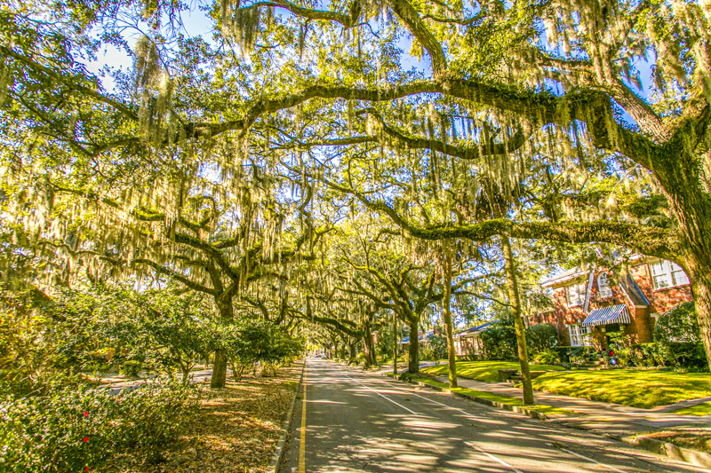 Savannah Historic District