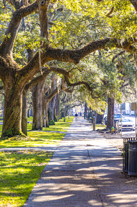 Le long de Emmet Park