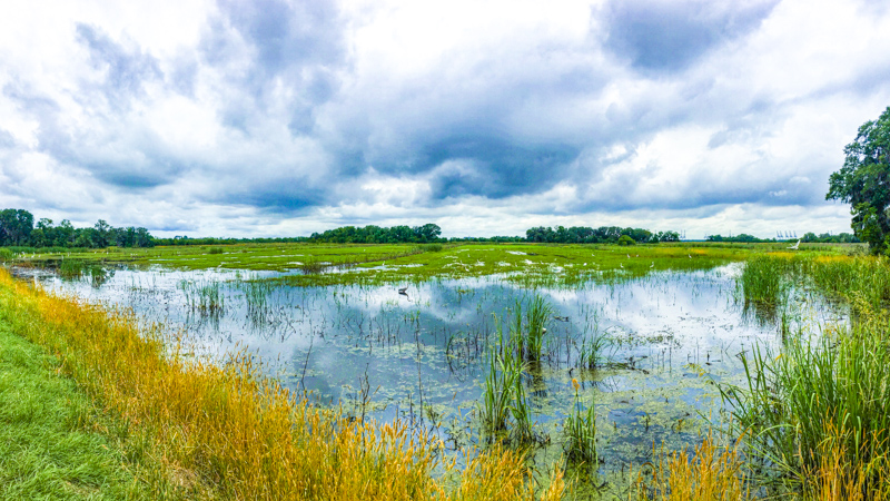 Savannah National Wildlife Refuge