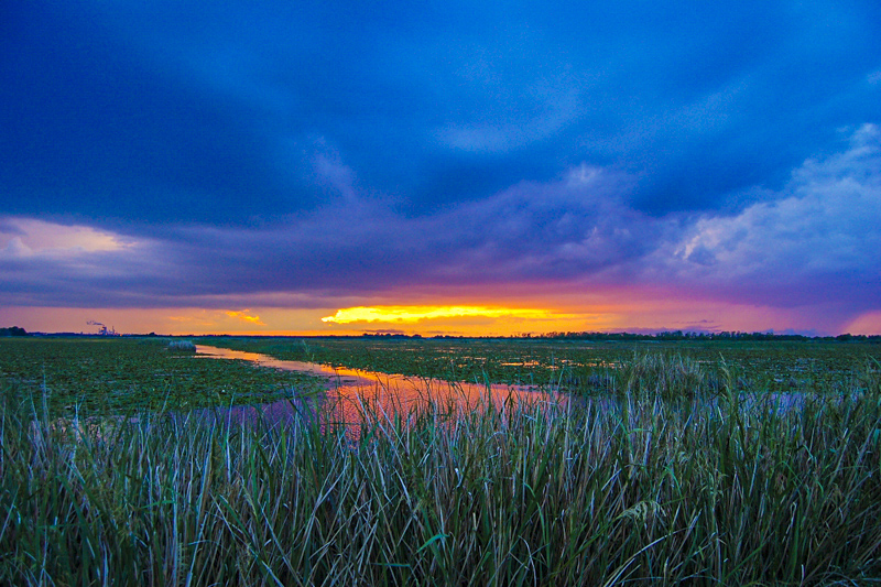 Savannah National Wildlife Refuge