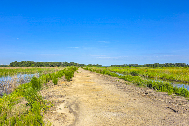 Plantation Island Trail