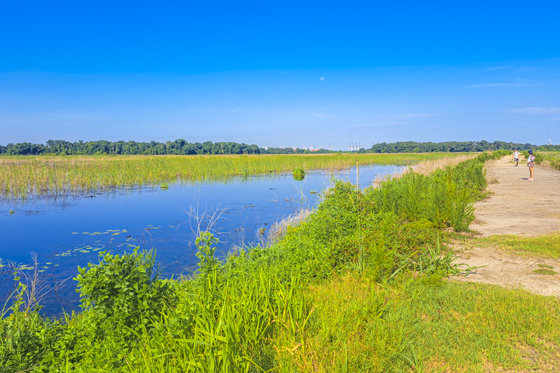 Plantation Island Trail