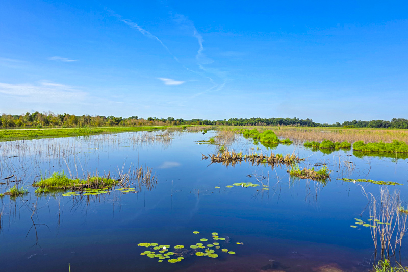 Plantation Island Trail