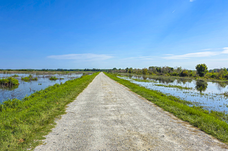 Laurel Hill Wildlife Drive