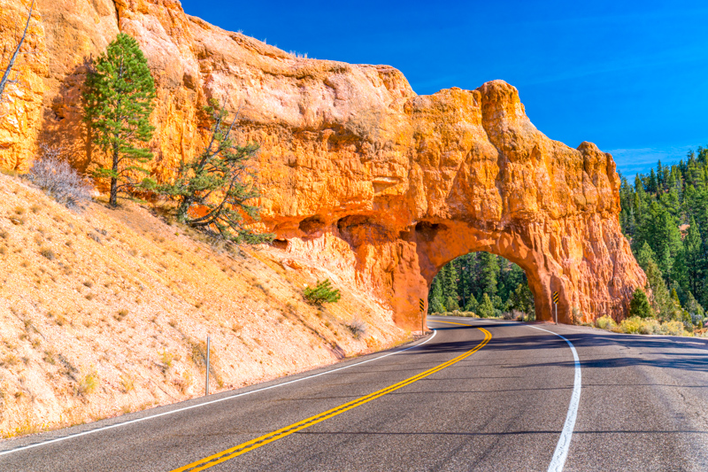 Près de Red Canyon