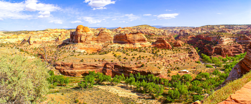 Boynton Overlook