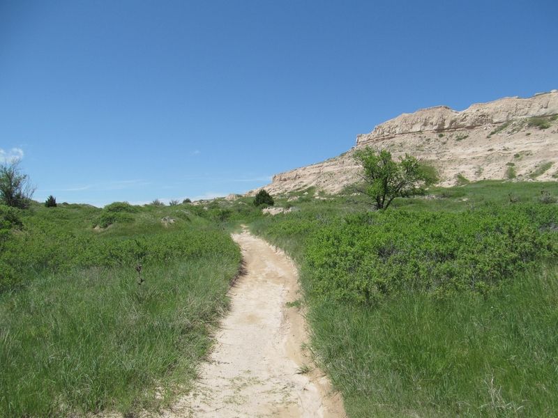 Oregon Trail