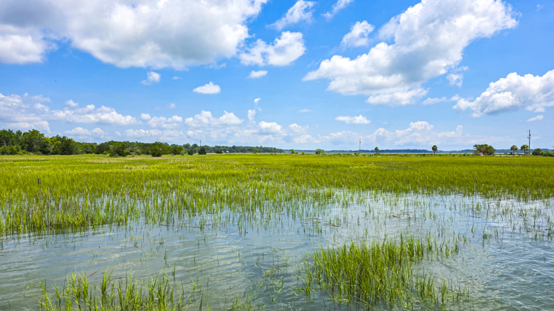 Port Royal Boardwalk