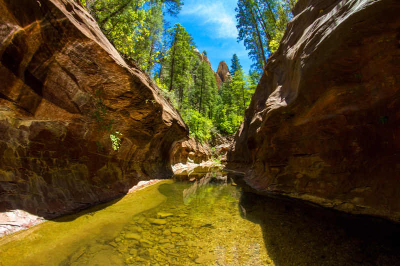 West Fork of Oak Creek