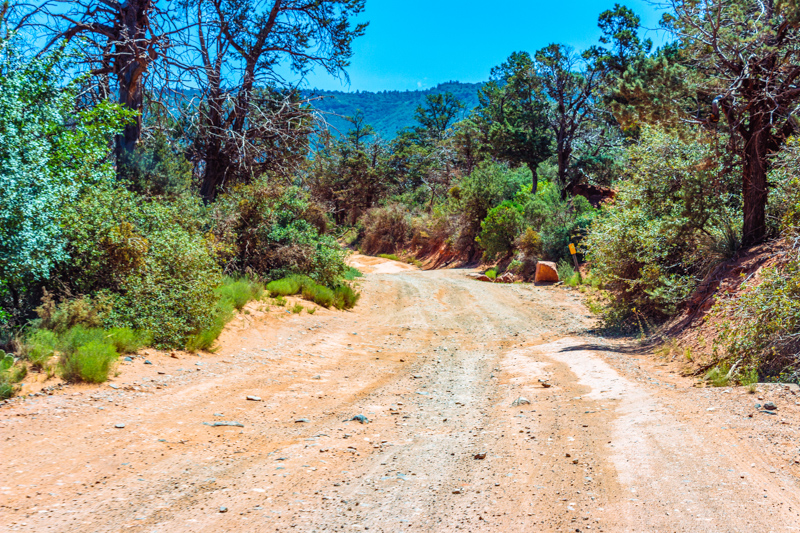 Schnebly Hill Road