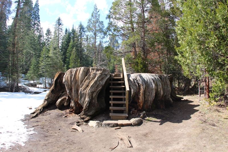 Mark Twain Stump