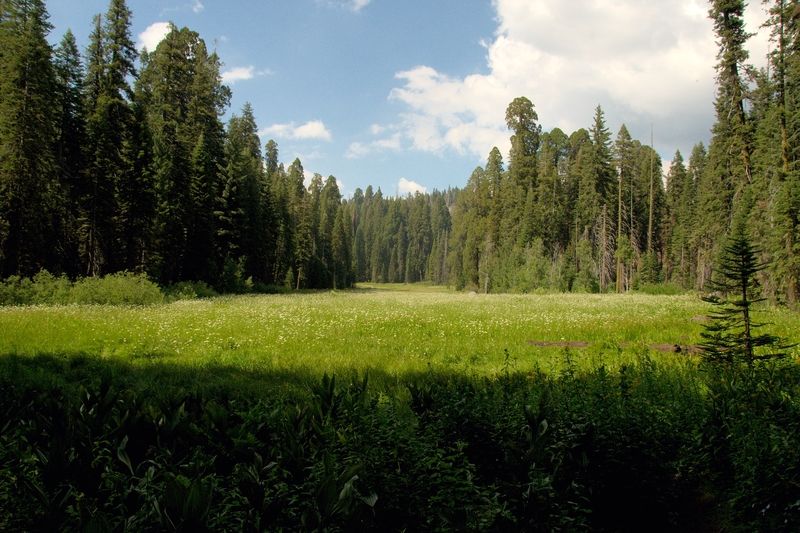 Crescent Meadow