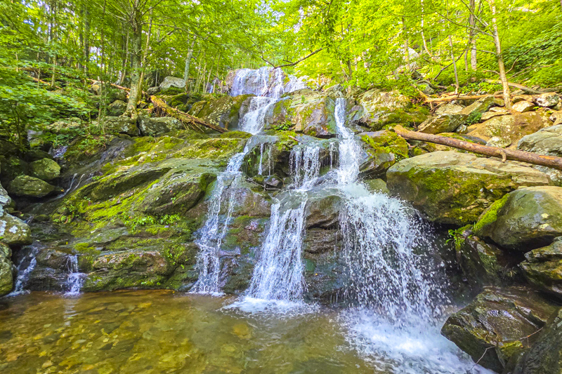 Dark Hollow Falls Trail