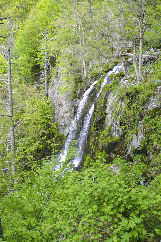 Lewis Falls