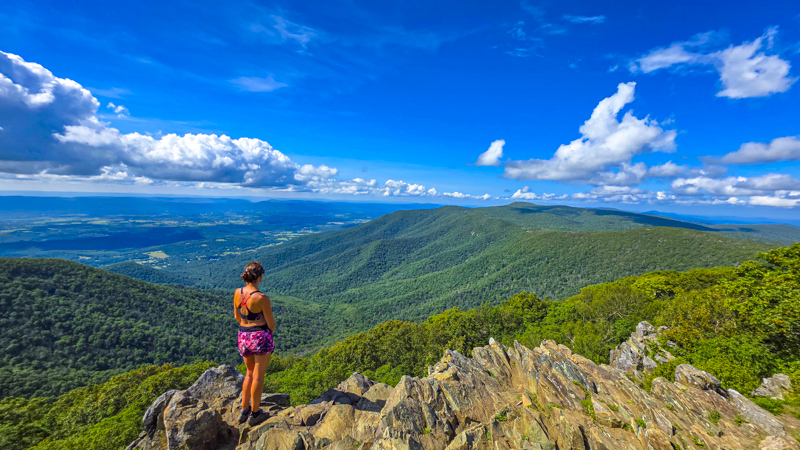 Vue de Hawksbill Summit