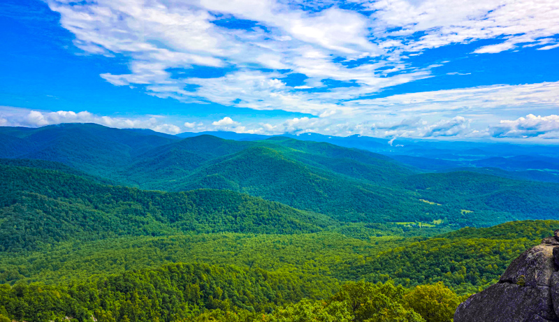 Vue du sommet de Old Rag Mountain