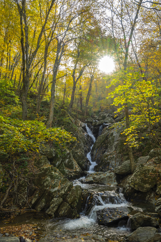 Dark Hollow Falls Trail