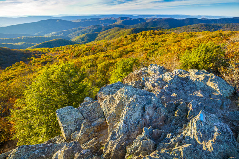 Premier point de vue sur Bearfence Loop