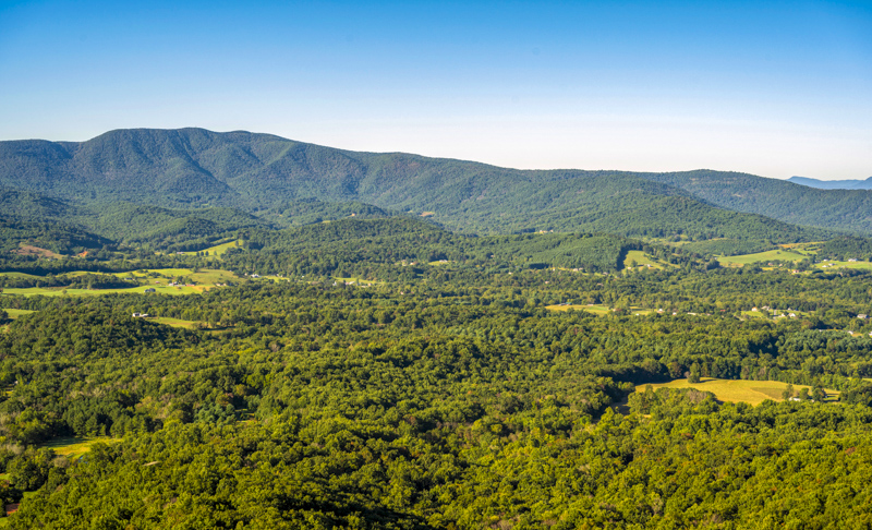 Gooney Manor Overlook