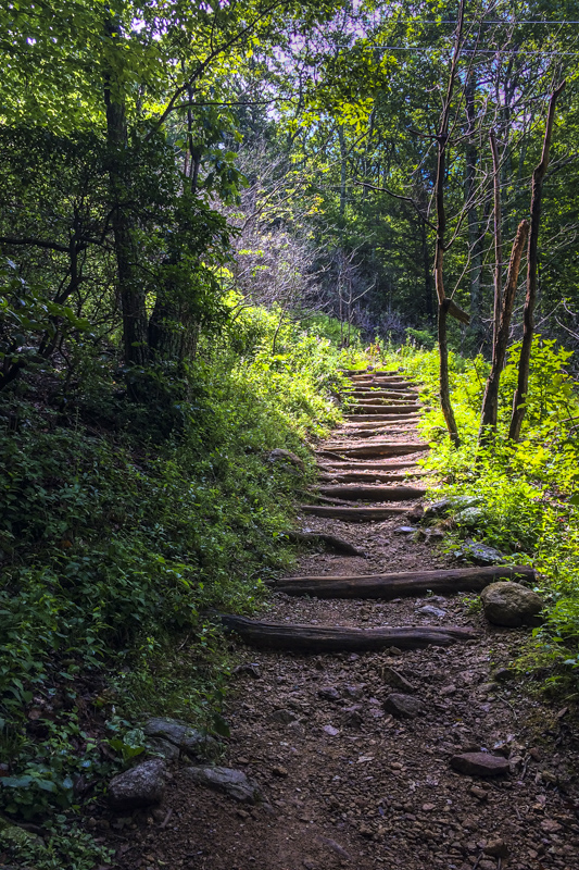 Marys Rock Summit Trail