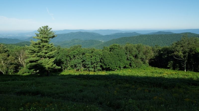 Le long de la Skyline Drive